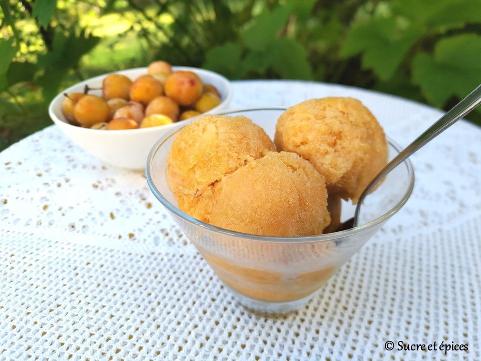 Easy sorbelle sorbet without sorbetic – Easy recipe