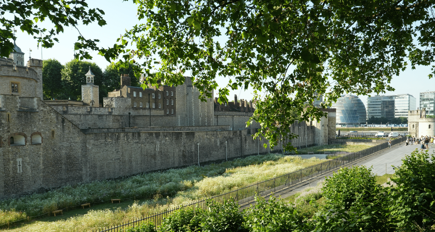 Are you overwhelmed with planning your trip to London? Start here.