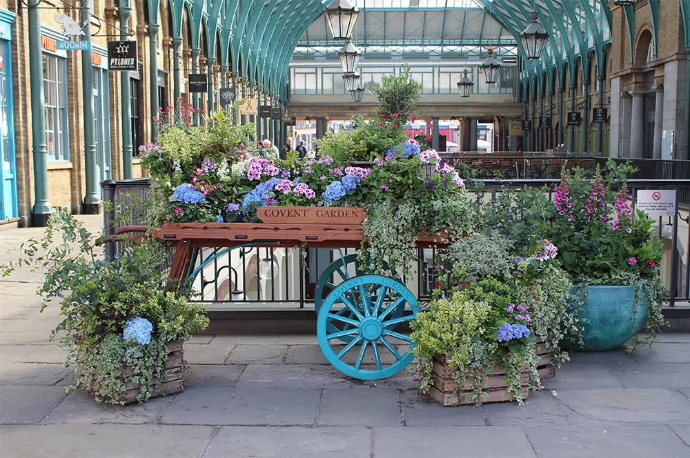 Things to Do in London in August – Sunny in London